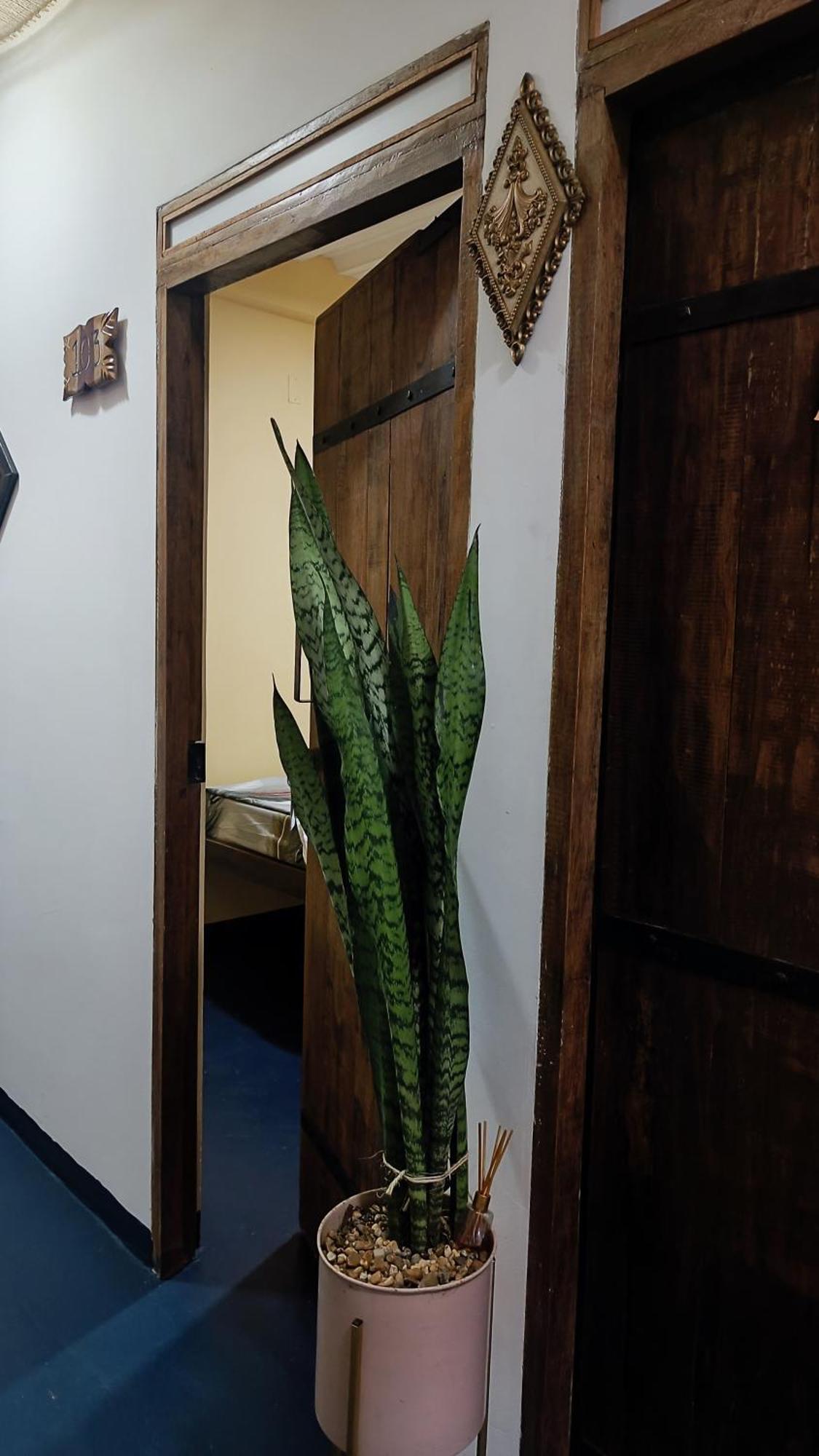 Hotel Gavas Amazonas ليتيسيا المظهر الخارجي الصورة